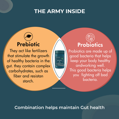 Gut Army - Prebiotic & Probiotic Capsules
